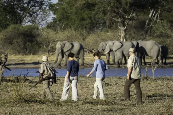 Walking safari in Botswana