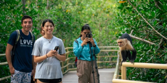 Observe wildlife up close while walking along the rainforest trails