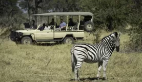 Spotting Zebras