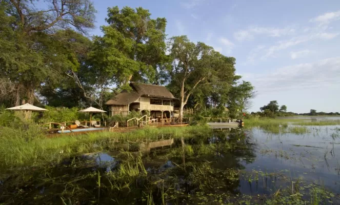 Jacana Camp in Botswana