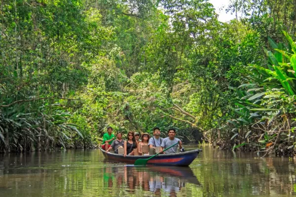 Admire the beauty of the Amazon