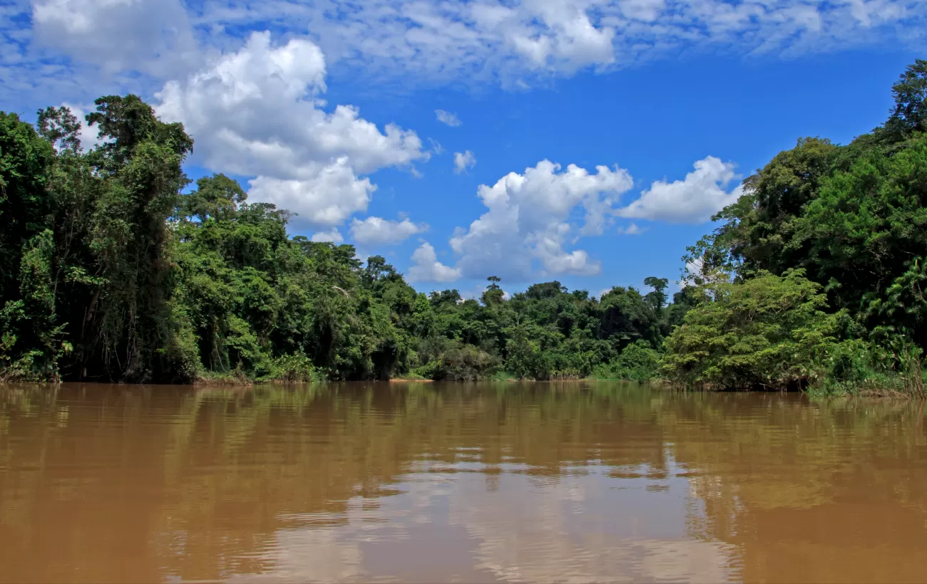 Anakonda Amazon Cruises - See Tours, Trips, Costs, Destinations ...