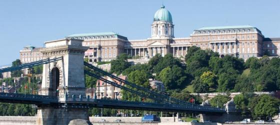 Sail past the royal palace of Budapest