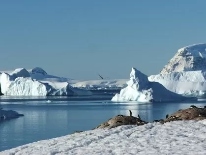 Enjoy the stunning landscapes and exotic wildlife of Antarctica