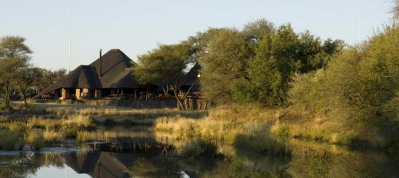 Okonjima Bush Camp