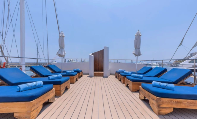 Sundeck