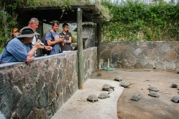 Learn at the Breeding Center on your Galapagos cruise