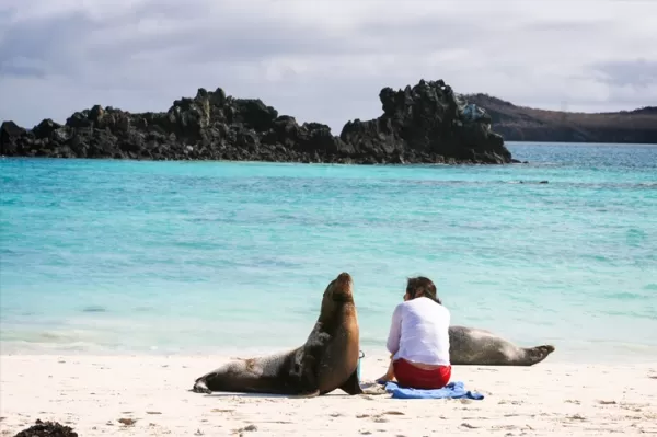 A Galapagos traveler sits still while a sea lion explores