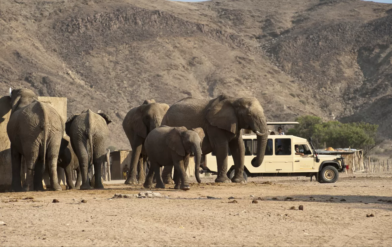 Have the chance to see a variety of wildlife including elephants.