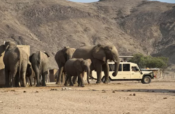 Have the chance to see a variety of wildlife including elephants.