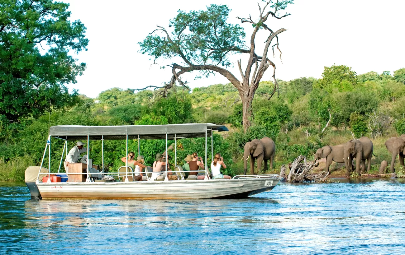 View a variety of wildlife while on a river boat cruise.