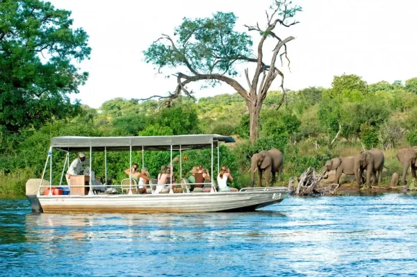 View a variety of wildlife while on a river boat cruise.