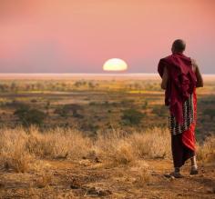 A Maasai warrior walks across the African bush