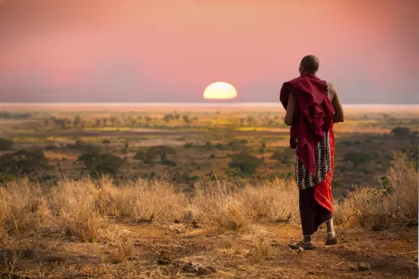 A Maasai warrior walks across the African bush