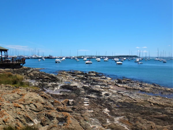 Beach and marine area in Punta del Este in Uruguay