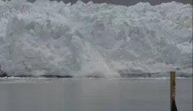 Calving in Glacier Bay National Park