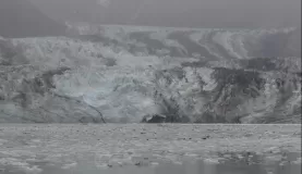 Johns Hopkins Glacier in Alaska