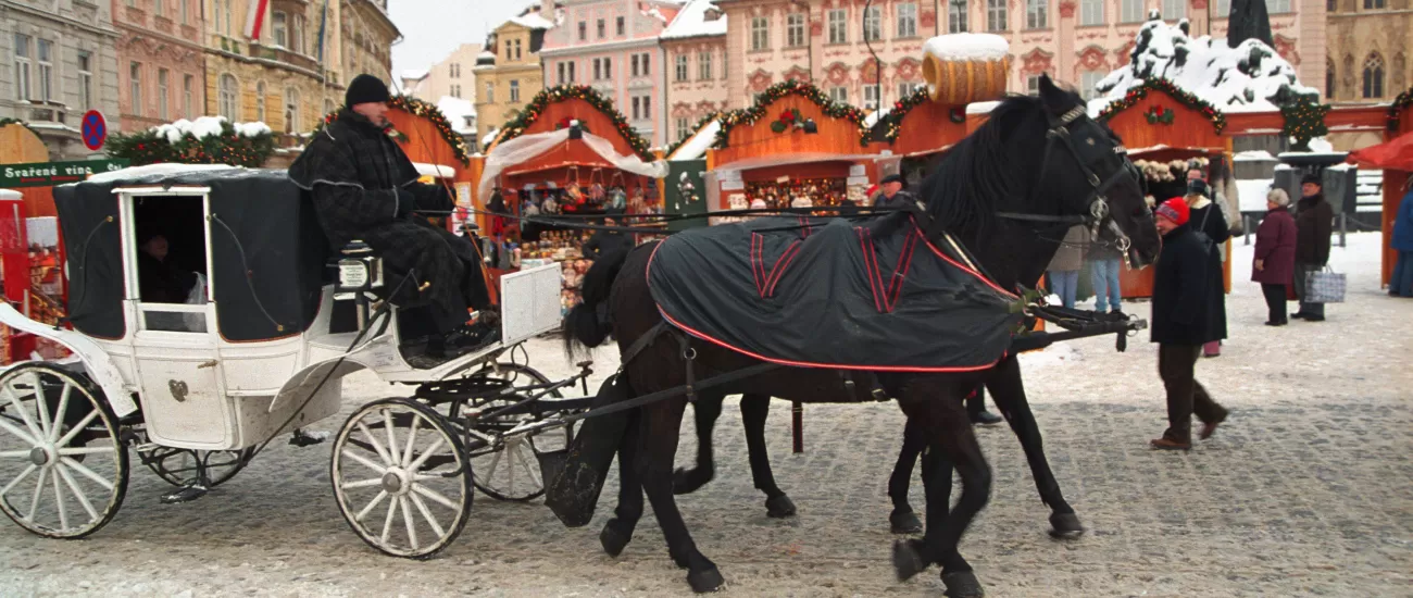 Enjoy a carriage ride at the Christmas Market