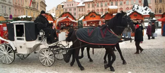 Enjoy a carriage ride at the Christmas Market