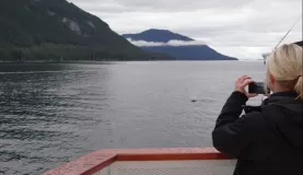 Holly snaps a photo of the killer whales