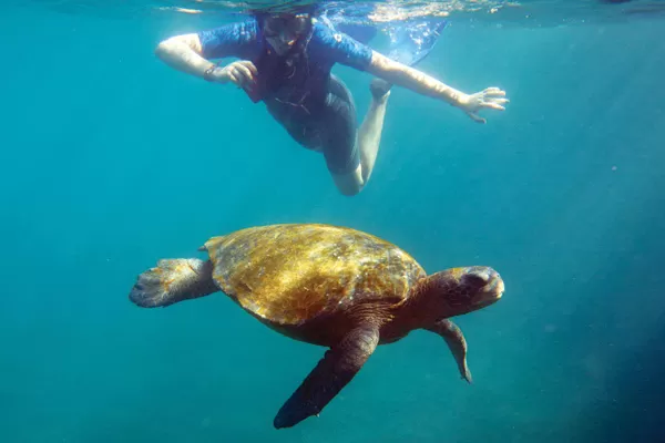Snorkel with wildlife on your Galapagos cruise