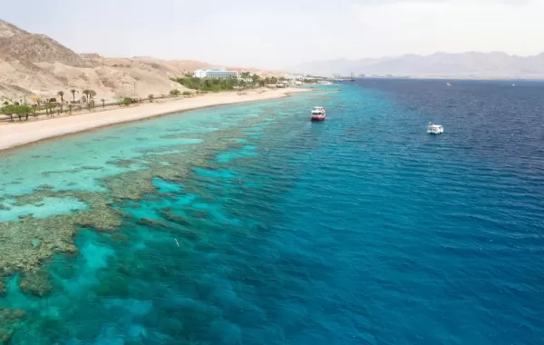 Cruise the crystal waters of the Red Sea