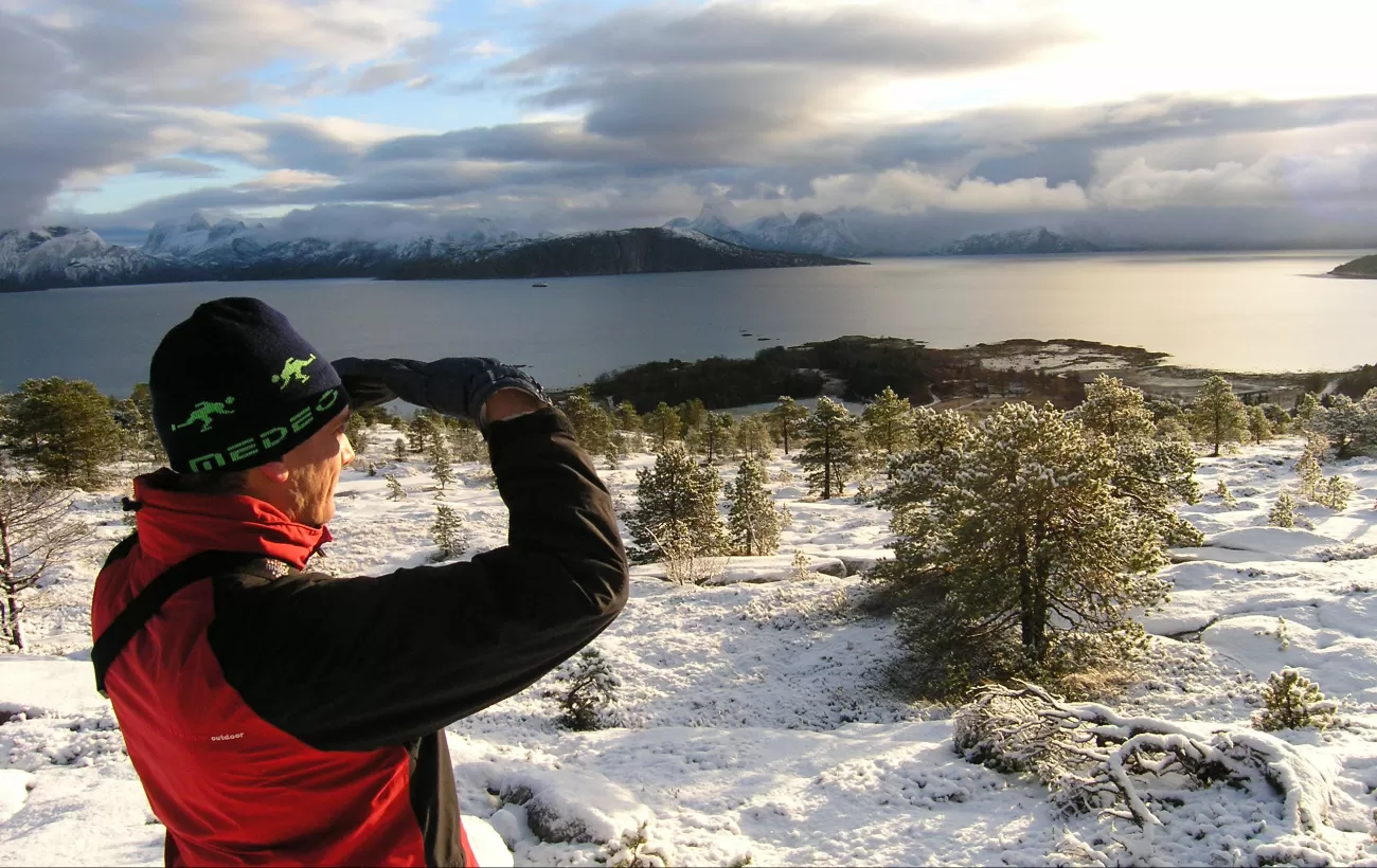 Sight-seeing in the arctic.