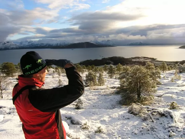 Sight-seeing in the arctic.