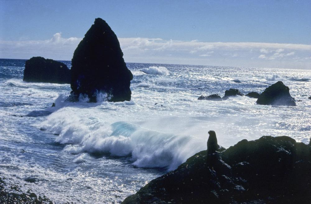 Antarctic Cruise Bouvet Island Atlantic Ocean Expedition Cruise