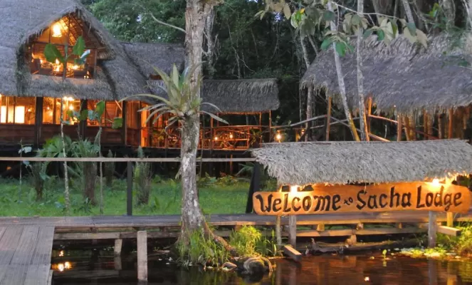 Sacha Lodge