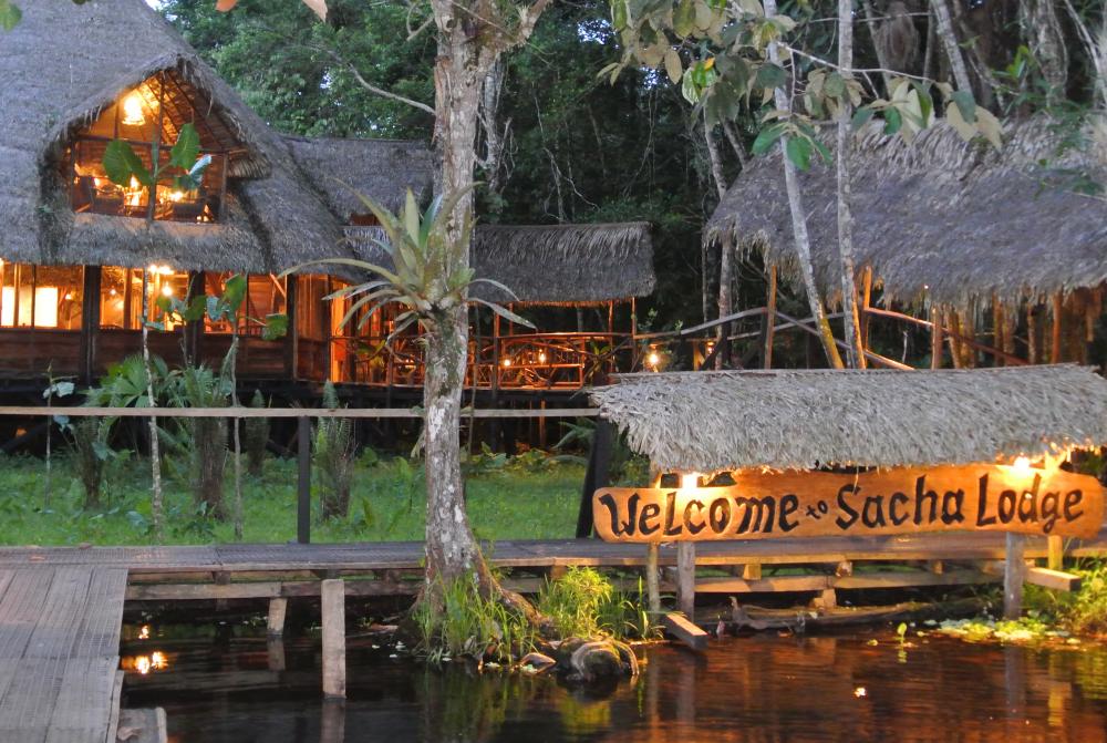 Sacha Lodge Enjoy a comfortable Amazon lodge on your Ecuador tour