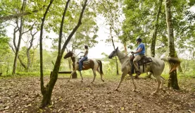 Horseback riding through the jungle at the Lodge at Chaa Creek