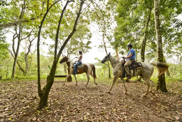 Horseback riding through the jungle at the Lodge at Chaa Creek