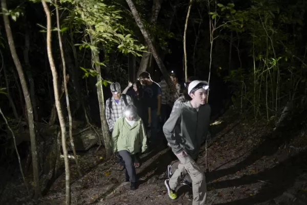 Night hikes offer visitors to Chaa Creek the opportunity to see more wildlife