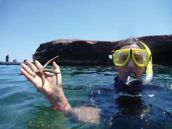 Collected a starfish while snorkeling.