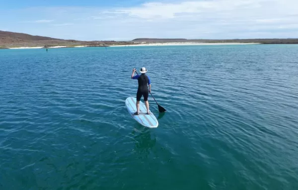 Traveler paddle boarding across the ocean.
