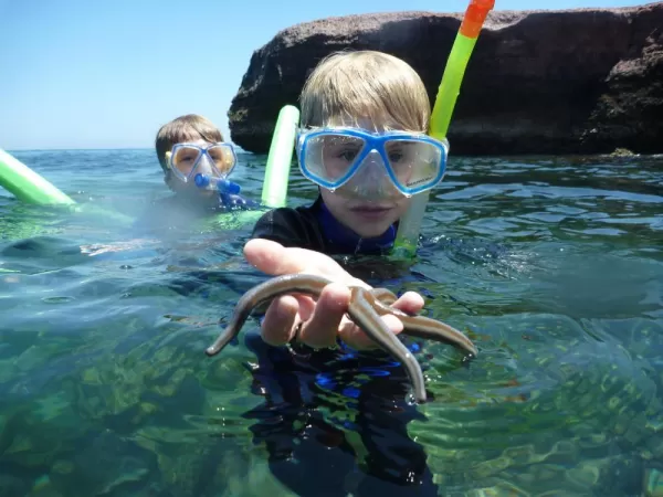 Kid finds a starfish while snorkeling.