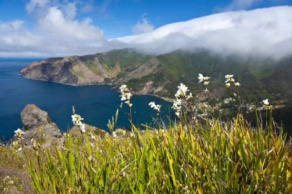 Enjoy the spectacular scenery around Robinson Crusoe Island
