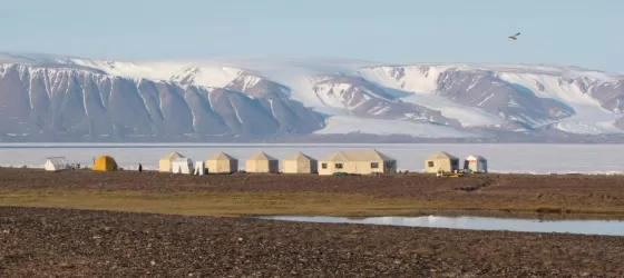Arctic Kingdom's Premium Safari Camp