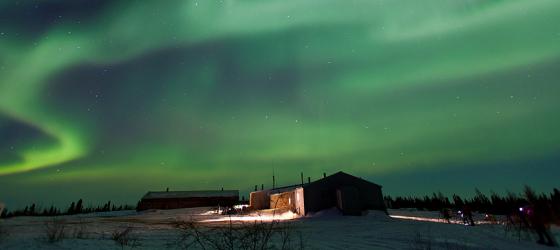 View the famed Northern Lights from Arctic Kingdom's Newborn Polar Bear Cub Lodge