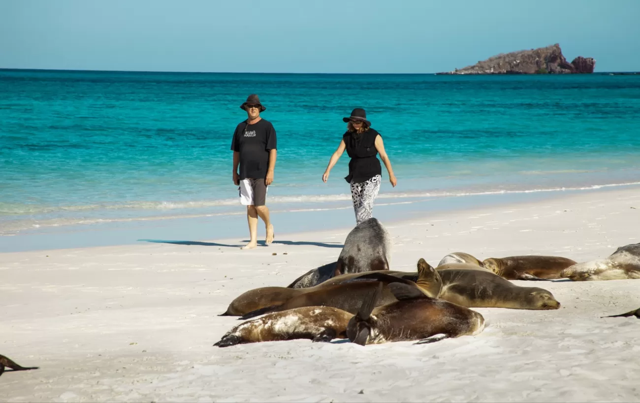 Traveler's waking on the seal covered beach.