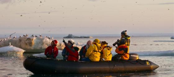 Zodiac ride out into the arctic.