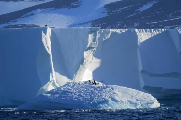 Penguins walking around on icebergs. 