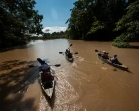 Canoe up the Amazon on your small ship cruise