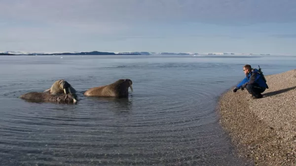 Arctic Cruise - Lofoten, Bear Island & Svalbard Arctic Expedition Cruise