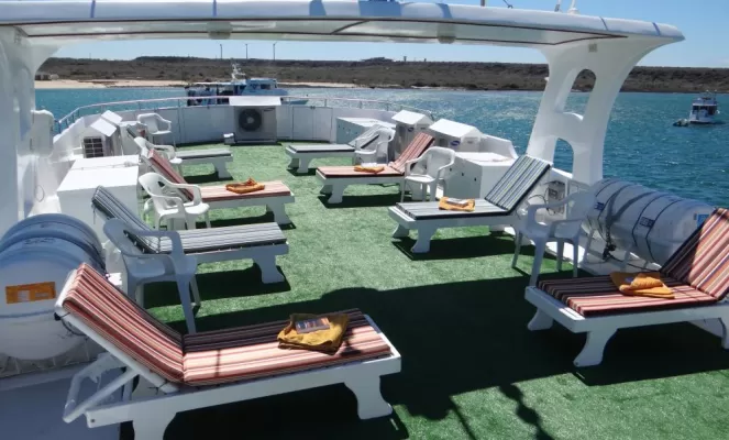 Relax on the sun deck of the Angelito.