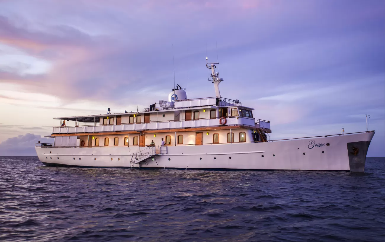 8-day Galapagos cruise Private Charter - Beyond Darwin's Footsteps