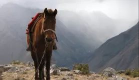 Trekking in the Andes