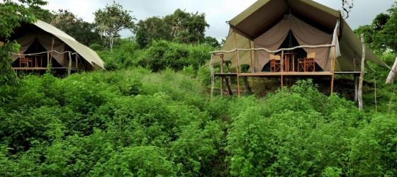 The luxury tents of Galapagos Safari Camp