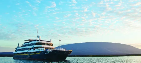 The Islander